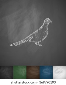 dove icon. Hand drawn vector illustration