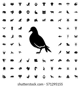 dove icon illustration isolated vector sign symbol