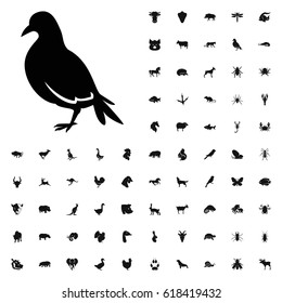 Dove icon illustration isolated vector sign symbol. animals icons vector set. on white background