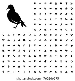 Dove icon illustration isolated vector sign symbol. animals icon set for web and mobile.