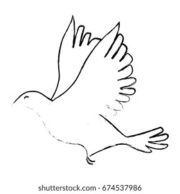dove icon image
