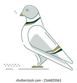 dove icon in two version