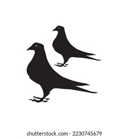 dove icon vector illustration symbol design