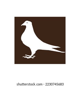 dove icon vector illustration symbol design