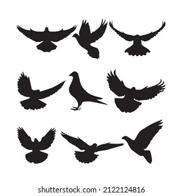 Dove icons, peace and easter symbol, pigeon bird flying with olive branch twig in beak. Vector dove silhouette, sign of Christian church religion, hope and love, resurrection day and holy spirit.