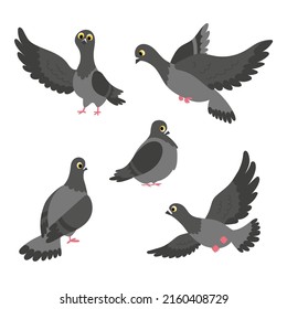 Dove Illustration Set Pigeon Different Poses Stock Vector (Royalty Free ...