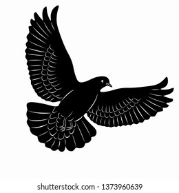 dove isolated illustration, black and white drawing, white background