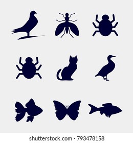 dove, lady bird,  cat, duck, fish, butterfly icons set, animal icons