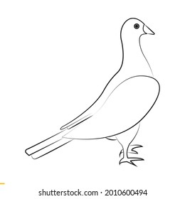 Dove Line Art Logo Design for Business and Companies