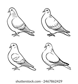 
dove line art set. Symbol of peace