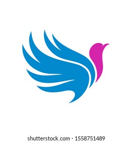 Dove logo design concept vector. Bird logo template. Icon symbol. Illustration