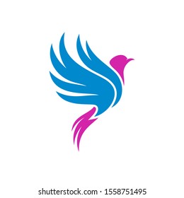 Dove logo design concept vector. Bird logo template. Icon symbol. Illustration