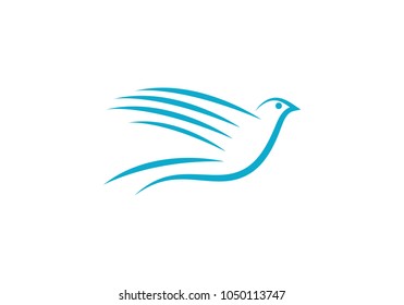 Dove Logo Template