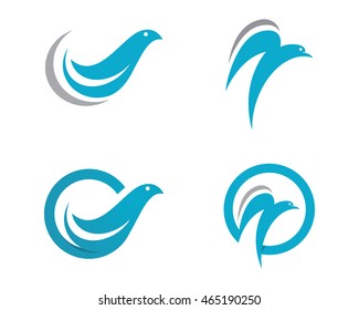 Dove logo Template