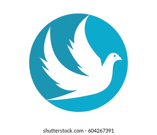 Dove Logo Template