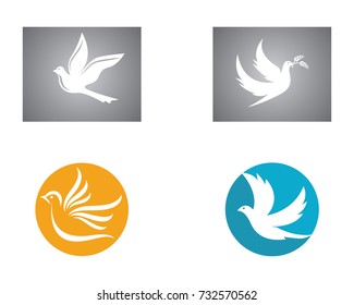 Dove Logo Template