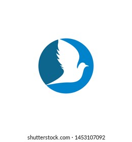 Dove logo template vector icon illustration