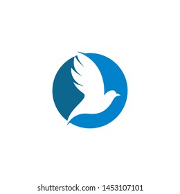 Dove logo template vector icon illustration