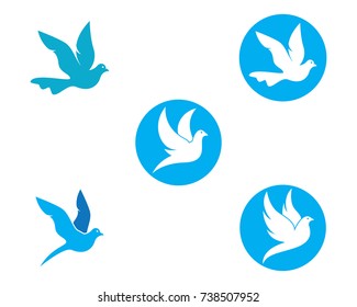 Dove Logo Template vector  icon illustration design