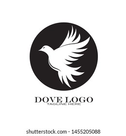 Dove Logo Template vector illustration - Vector
