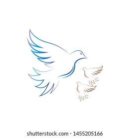 Dove Logo Template vector illustration - Vector
