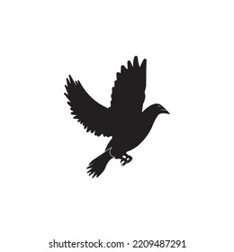 Dove Logo Template vector illustration design