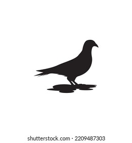 Dove Logo Template vector illustration design