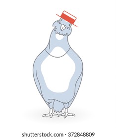 Dove in love. Dove in hat looking forward - vector illustration.