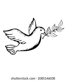 Dove with olive branch. Symbol of Hope and  Peace.Vector Illustration in doodle style.