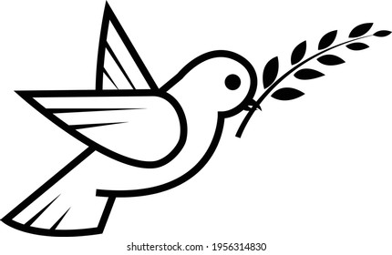 DOve with Olive leaf vector image for religion icon or logo.