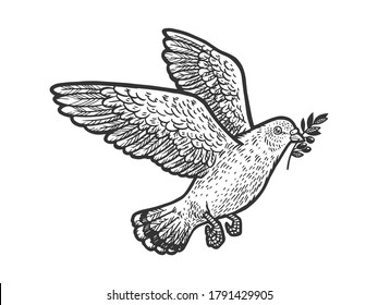 dove with olive sprig branch sketch engraving vector illustration. T-shirt apparel print design. Scratch board imitation. Black and white hand drawn image.