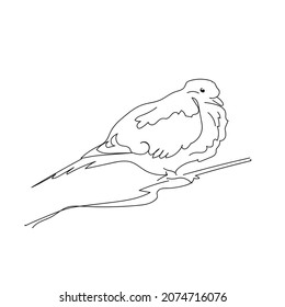 Dove on the branch in line art style. Black linear sketch isolated on white background. Vector illustration, concept for logo, label, symbol, card, banner, poster, flyer