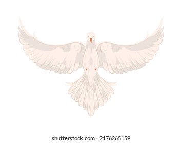 dove with open wings icon isolated