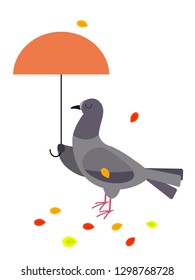 A dove with a parasol