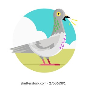 a dove in the park