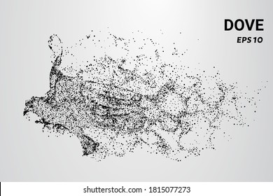 Dove of the particles. The dove consists of circles and dots.