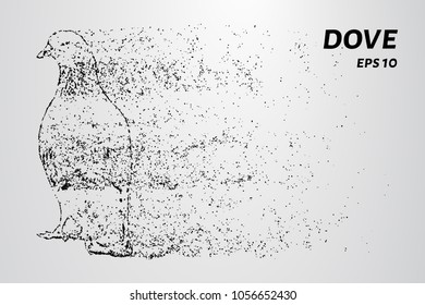 The dove of the particles. The dove consists of dots and circles