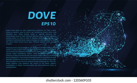 The dove of the particles. The dove consists of dots and circles.