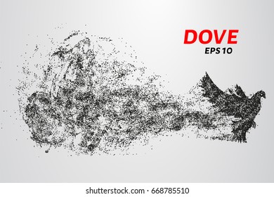 The dove of the particles. Dove consists of small circles and dots