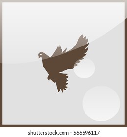 Dove of peace.