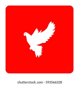 Dove of peace.