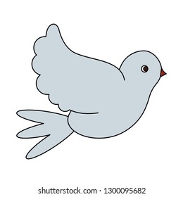 Dove peace bird