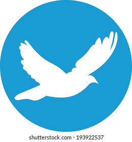 Dove for peace concept and wedding design. Flying dove white on a blue background. Vector