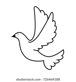 dove of peace flying