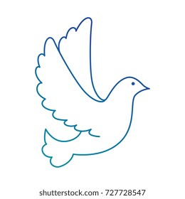 dove of peace flying