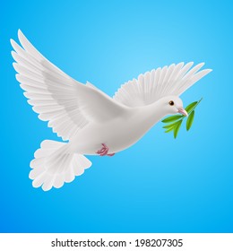 Dove of peace flying with a green twig after flood  in sky