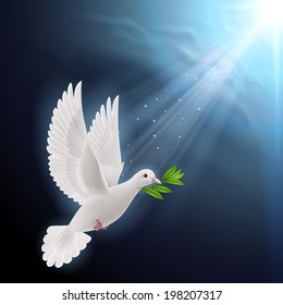 Dove of peace flying with a green twig after flood on a dark background
