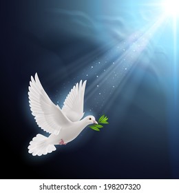 Dove of peace flying with a green twig after flood in sunlight