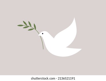 A dove of peace holding an olive branch, a peaceful sign, no war