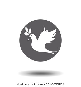 Dove of peace Icon